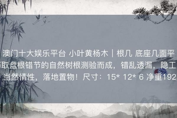 澳门十大娱乐平台 小叶黄杨木｜根几 底座几面平坦，可承诸多文器，几足巧取盘根错节的自然树根测验而成，错乱透漏，隐工显形，当然情性，落地置物！尺寸：15* 12* 6 净重192克#春日通顺指南# #黄杨木雕#