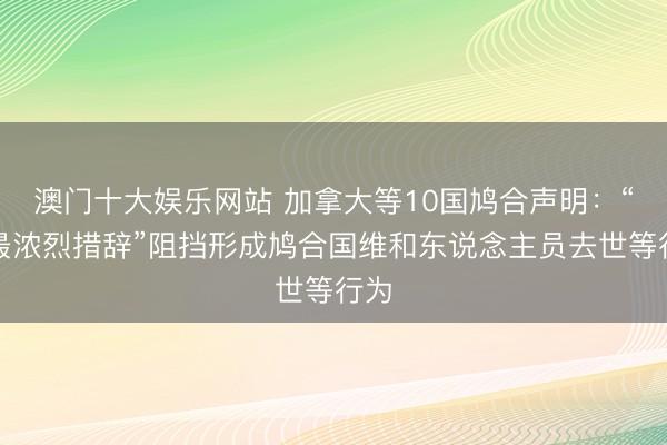 澳门十大娱乐网站 加拿大等10国鸠合声明：“以最浓烈措辞”阻挡形成鸠合国维和东说念主员去世等行为